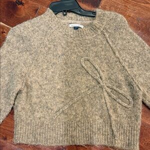 American Eagle Outfitters Women's Brown Crew Neck Sweater